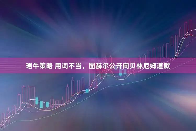 珺牛策略 用词不当，图赫尔公开向贝林厄姆道歉