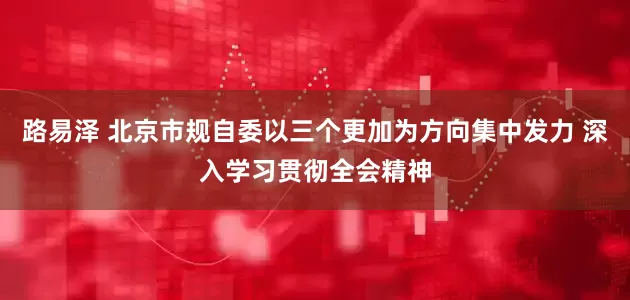 路易泽 北京市规自委以三个更加为方向集中发力 深入学习贯彻全会精神