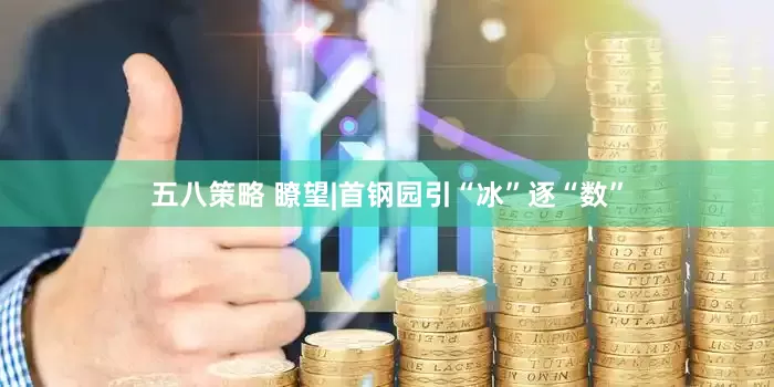 五八策略 瞭望|首钢园引“冰”逐“数”